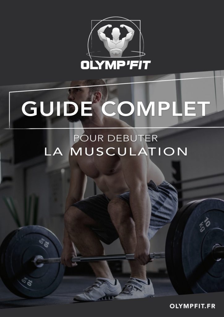 Le guide complet du débutant